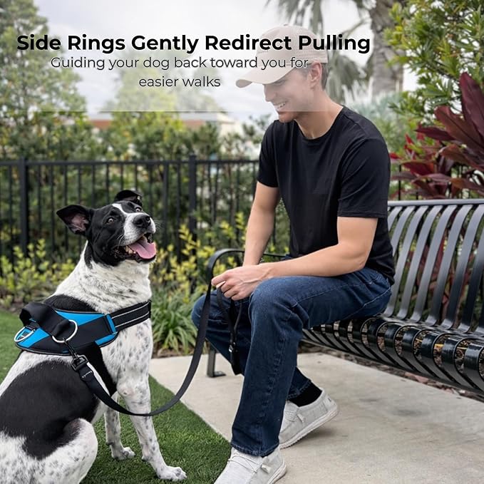 ShawnCo Essential Dog Harness, No-Pull Pet Vest with 3 Leash Clips, No Choke, Reflective, Adjustable and Padded, for Easy Walking and Training for Small, Medium and Large Dogs (Driftwood, XS)