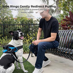 ShawnCo Essential Dog Harness, No-Pull Pet Vest with 3 Leash Clips, No Choke, Reflective, Adjustable and Padded, for Easy Walking and Training for Small, Medium and Large Dogs (Moonglow, M)