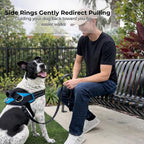 ShawnCo Essential Dog Harness, No-Pull Pet Vest with 3 Leash Clips, No Choke, Reflective, Adjustable and Padded, for Easy Walking and Training for Small, Medium and Large Dogs (Mustang Red, L)