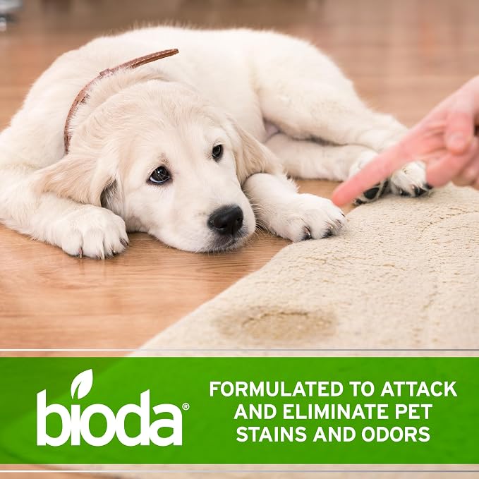 Bioda Commercial Strength Enzymatic Stain & Odor Eliminator for Pets, 1 gal | Pet Urine Enzyme Cleaner | Stain Remover | Urine Odor Eliminator | Carpet & Couch Cleaner | Made in USA | 1 Gallon