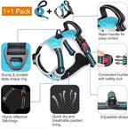 tobeDRI No Pull Dog Harness Adjustable Reflective Oxford Easy Control Medium Large Dog Harness with A Free Heavy Duty 5ft Dog Leash, Blue/Grey, L