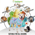 LovinPet Large Dog Pajamas, Four-Leg Stretch Onesie Bodysuit, Lightweight UV-Shielding Pajamas, Anti-Lick Calming Recovery Suit for Surgery, 3D Dino Wing Design with Soft Spikes， Blue Purple， M