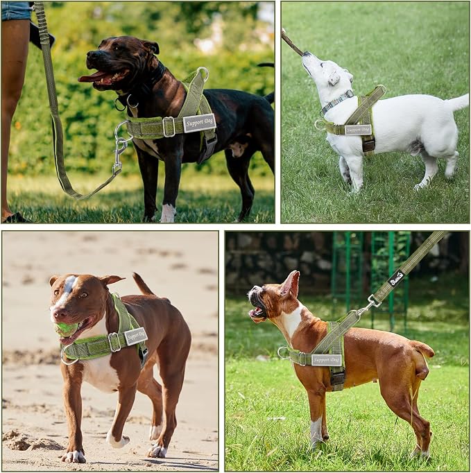 SlowTon No Pull Dog Harness - Heavy Duty Dog Harness and Leash Set for Medium Large Dogs, Reflective Tactical Harness with Soft Padded and Front Clip for Easy Walk and Training (Green, M)