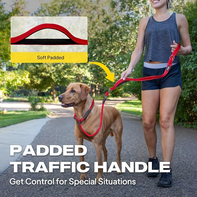 Fida 2-in-1 Slip Lead Dog Leash with 2 Handles, 6FT Training Leash, Red | No Collar Needed, Tangle Free, Soft Padded Handles, Traffic Control,Reflective Heavy Duty No Pull Leash for Medium-Large Dogs