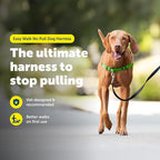 PetSafe Easy Walk No-Pull Dog Harness - Ultimate Harness to Help Stop Pulling - Pull-Free Walks - Take Control & Teach Better Leash Manners - Patented Martingale Loop Design - Apple Green, Medium