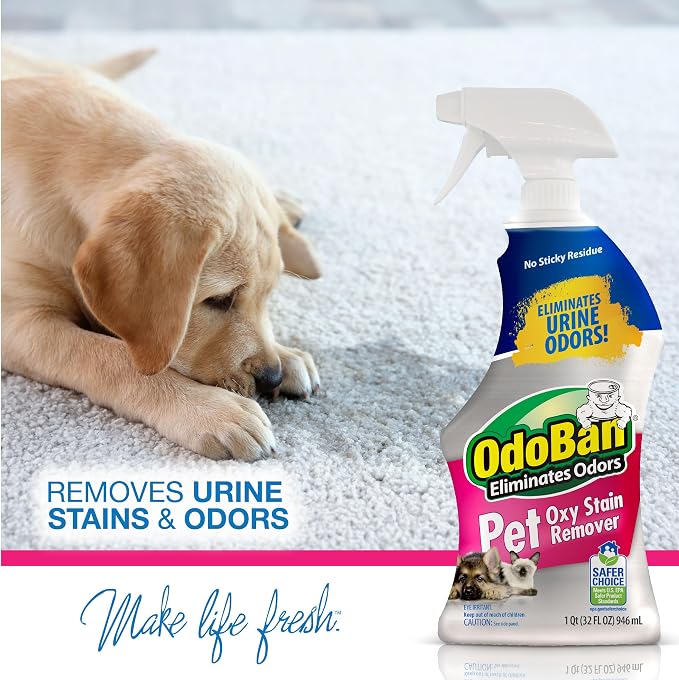 OdoBan Pet Solutions Oxy Stain Remover, Pet Stain Eliminator, Made in the USA, 4-Pack, 32 Ounce Spray Each