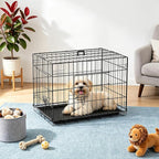 FDW 24-Inch Dog Crate for Small Dogs, Double Door Folding Metal Wire Pet Kennel with Divider Panel & Leak-Proof Plastic Tray, Black