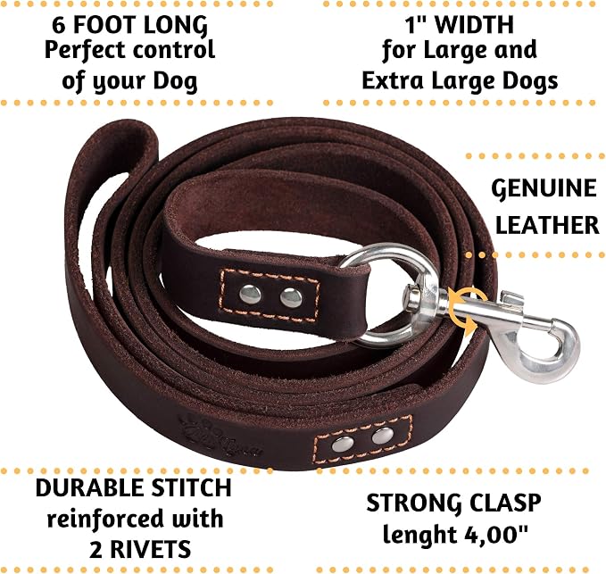 ADITYNA Leather Dog Leash for Large & Extra-Large Dogs, 6ft x 1" | Soft yet strong leather leash for walking, training, hiking — great for Great Dane, Rottweiler, Cane Corso, Mastiff.