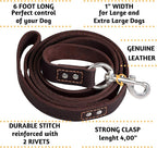 ADITYNA Leather Dog Leash for Large & Extra-Large Dogs, 6ft x 1" | Soft yet strong leather leash for walking, training, hiking — great for Great Dane, Rottweiler, Cane Corso, Mastiff.