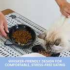 The Cat Ladies Ceramic Cat Bowls - Whisker Friendly Food Bowl - Cute Pet, Kitten Plates - Dishes for Indoor Cats - Dish for Wet Food & Water - Platos para Gatos - Black Cat, Set of 2