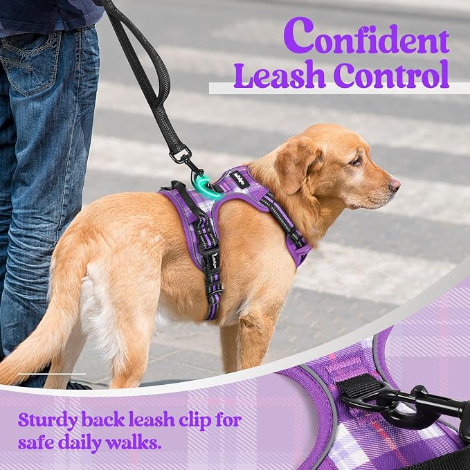 rabbitgoo Dog Harness, No Pull for Large Dogs with 2 Leash Clips, Pet Vest | No Choke with Handle, Adjustable Soft Padded, Reflective, Easy Control for Walking, Purple Plaid, Large