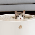 IRIS USA Large Top Entry Cat Litter Box, Hooded Privacy, Beige/White | Multi-Cat Households, Enclosed Top Access, Protected Interior, Mess Containment System, Odor Trapping, Reduced Tracking