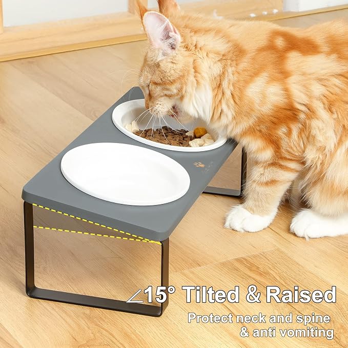 Sunhoo Ceramic Elevated Cat Bowls Raised Puppy Dishes for Food and Water Tilted Wooden Stand for Indoor Cats 5.5 inch Wide Double Dish Orthopedic Reduces Vomiting (Grey)