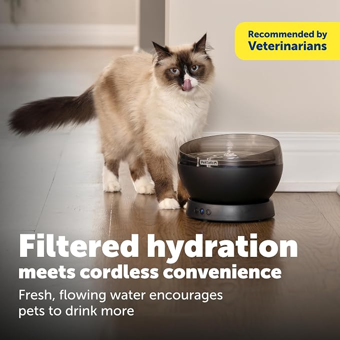 PetSafe HydroSphere Cordless Pet Fountain Battery Powered Water Fountain for Cats and Small Dogs Stainless Steel Tray Quiet Operation, Easy to Clean UVC Sanitation Black
