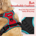 rabbitgoo Dog Harness, No Pull for Large Dogs with 2 Leash Clips, Pet Vest | No Choke with Handle, Adjustable Soft Padded, Reflective, Easy Control for Walking, Red & Teal, X-Large
