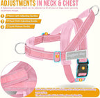 SlowTon No Pull Dog Harness - Heavy Duty Dog Harness and Leash Set for Medium Large Dogs, Reflective Tactical Harness with Soft Padded and Front Clip for Easy Walk and Training (PI, XL)