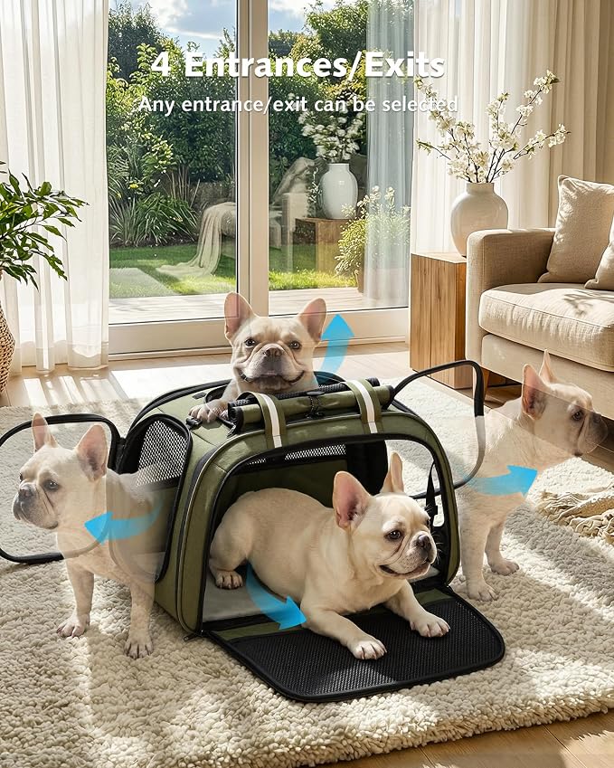 Pecute Cat Carrier with Bubble Window & Sunshade for Dogs Cats, Green XL | Dual bubble windows & top sunshade, 70% more airflow mesh, Impact-resistant stable frame, Locking zippers, Fits up to 20 lbs