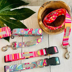 Lucky Love Dog - Easy Click Buckle Dog Collar with Leash Set Combo, Durable & Comfortable for Male & Female Dogs, Pet Collar for Small Dogs, Secure Fit - Molly Combo, Extra Small