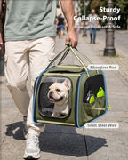 Pecute Cat Carrier with Bubble Window & Sunshade for Dogs Cats, Green XL | Dual bubble windows & top sunshade, 70% more airflow mesh, Impact-resistant stable frame, Locking zippers, Fits up to 20 lbs
