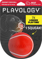 Playology Dog Toys | Squeaky Chew Ball for Dogs | Beef Scented Medium Dog Ball | Bouncy Floating Chew Toys for Fetch