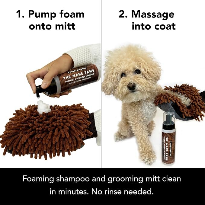 Pride and Groom THE MITT KIT: A Waterless Bath for Dogs - Foaming Dry Shampoo and a Pet Sensitive Glove for a Rinse Free Cleanse and to Eliminate Odor