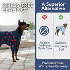 Spark Paws Dog Surgery Recovery Suit – Dog Recovery Suit After Surgery, Anti-Lick Dog Onesie, Abdominal Wound Protector, Soft Cone Alternative for Spay Neuter Male Female Pet Recovery - Hearts - 2XL