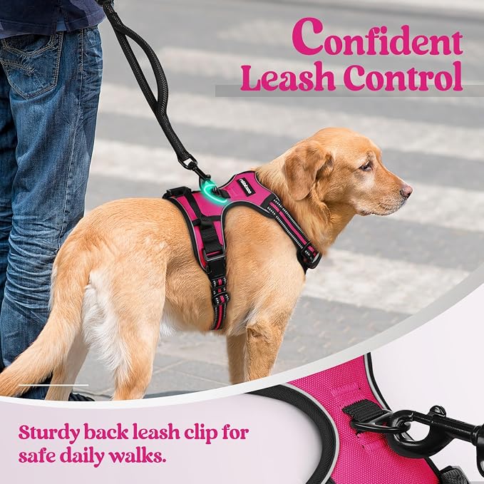 rabbitgoo Dog Harness, No Pull for Large Dogs with 2 Leash Clips, Pet Vest | No Choke with Handle, Adjustable Soft Padded, Reflective, Easy Control for Walking, Hot Pink, Large