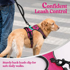 rabbitgoo Dog Harness, No Pull Medium Sized with 2 Leash Clips, Pet Vest | No Choke with Handle, Adjustable Soft Padded, Reflective, Easy Control for Walking, Hot Pink, Medium
