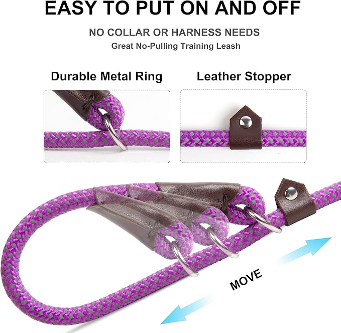 Fida Durable Slip Lead Dog Leash, 6 FT x 3/8" Heavy Duty Comfortable Strong Rope Slip Lead for Small Dogs and Puppies, No Pull Pet Training Leash with Highly Reflective(3/8", Purple)