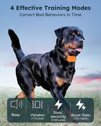 Dog Shock Collar 2 Dogs (10-120Lbs) - 4200FT Dog Training Collars with Remote Control, IPX8 Waterproof Rechargeable E-Collars for Large Medium Small Dog