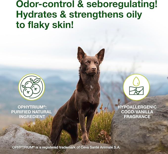 Douxo S3 SEB Dog Seboregulating Shampoo, 0.5% Ophytrium, 16.9 fl oz | Seborrhea Treatment for Dogs & Cats, Helps Control Dandruff, Unpleasant Odors & Oily/Flaky Skin, 0.5% Ophytrium, 16.9 fl oz