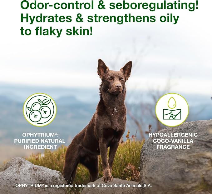 Douxo S3 SEB Dog Seboregulating Shampoo, 0.5% Ophytrium, 6.7 fl oz | Seborrhea Treatment for Dogs & Cats, Helps Control Dandruff, Unpleasant Odors & Oily/Flaky Skin, 0.5% Ophytrium, 6.7 fl oz