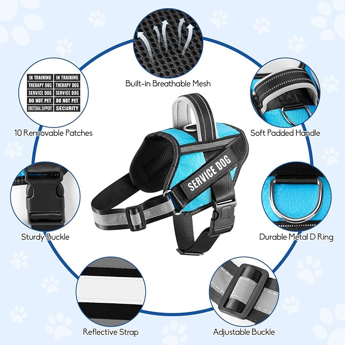 Service Dog Vest Harness and Leash Set, Animire in Training Dog Harness with 10 Dog Patches, Reflective Dog Leash with Soft Padded Handle for Small, Medium, Large, and Extra-Large Dogs