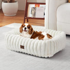 Washable Dog Bed for Small Medium Dogs, Rectangle Orthopedic Pet Bed with Removable Cover, Fluffy Memory Foam Dog Beds with Anti-Slip Bottom, Cream(25x21x7inchs)