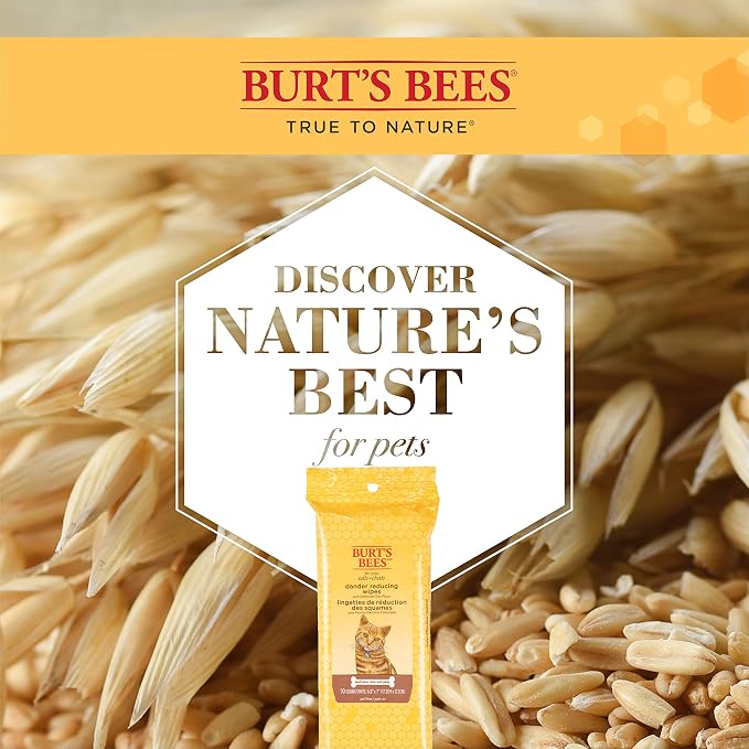 Burt's Bees for Pets For Cats Natural Dander Reducing Wipes | Kitten and Cat Wipes For Grooming, | 50 Count Cat Wipes for Dander Control - 6 Pack (300 Wipes Total)
