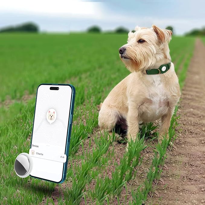 AirTag Dog Collar - Genuine Leather Dog Collar with Apple AirTag Holder and Metal Buckle - Smart GPS Tracking Pet Collars (Dark Green, L, 17"-21" Neck Fit)