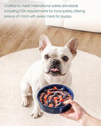 vancasso Slow Feeder Dog Bowl, 0.6 Cup Ceramic Slow Feeding Food Dish for Small Breed, Puzzle Dog Food Bowl for Fast Eater, Blue