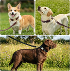 Leather Dog Collar and Leash Set, 6FT Heavy Duty Leather Training Leash with Adjustable Dog Collar, Soft and Durable Dogs Leashes and Collars Set for Small Medium Large Dogs (Brown, M)