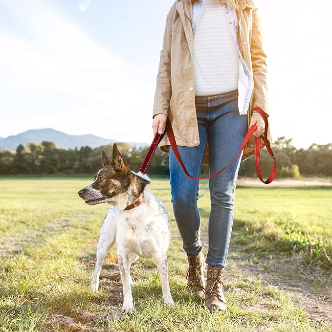 Twoear 6FT 1IN Heavy Duty Dog Leash for Large Dogs with 2 Padded Handles | Traffic Handle Extra Control, Auto Lock Hook, Strong Reflective Walking Leash for Night Safety, Medium and Large Breeds,Red