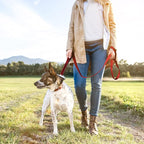 Twoear 6FT 1IN Heavy Duty Dog Leash for Large Dogs with 2 Padded Handles | Traffic Handle Extra Control, Auto Lock Hook, Strong Reflective Walking Leash for Night Safety, Medium and Large Breeds,Red