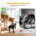 Dog Food Bowls Elevated, 3 Heights ((0.9''/4.7''/8.45'') Adjustable Raised Dog Bowl Stand with 16.73''W Splash Guard & Non-Skid Feet for Small Medium Large Dogs, No Bowl Included