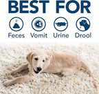 Simple Solution Pet Stain & Odor Remover, Enzyme Stain Cleaner, 32oz | Dog Stain & Odor Remover, Pet Urine Enzyme Cleaner, Dog Urine Carpet Cleaner, Pet Odor Eliminator, Floral Fresh Scent