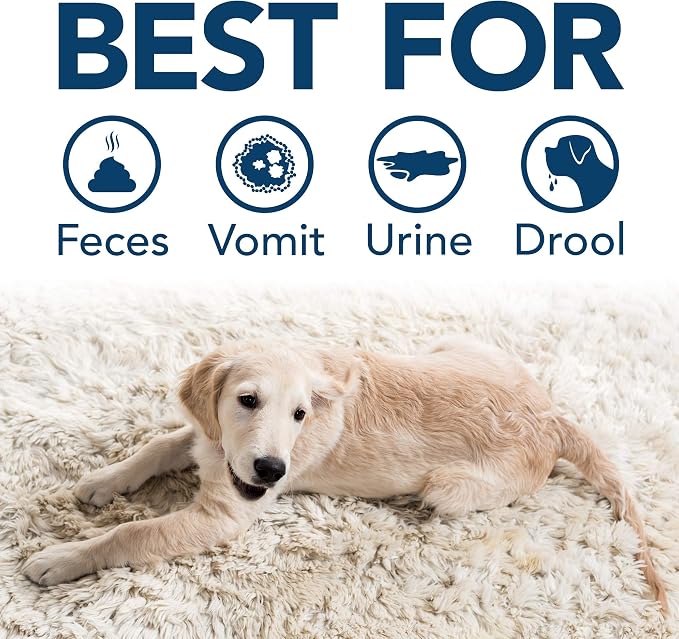 Simple Solution Pet Stain & Odor Remover, Enzyme Stain Cleaner, Gallon | Dog Stain & Odor Remover, Pet Urine Enzyme Cleaner, Dog Urine Carpet Cleaner, Pet Odor Eliminator, Floral Fresh Scent