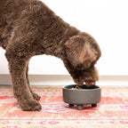 Waggo Uplift Ceramic Dog Bowl for Small Medium and Large Breeds - Heavyweight and Durable Pet Food and Water Dish Crock, Dishwasher Safe, Modern, Elevated Feeder (Speckle, Large)