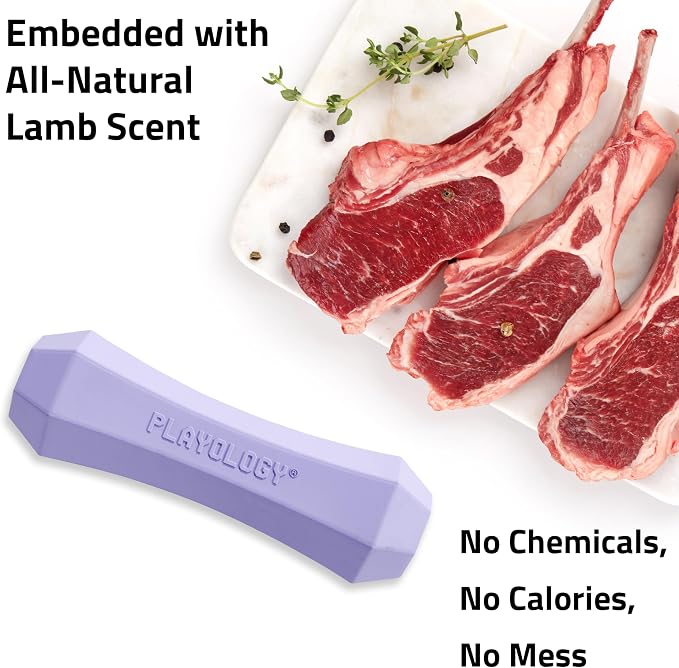 Playology Dog Toys | Squeaky Chew Stick for Large Dogs | Lamb Scented Jumbo Fetch Toy | Squeaky Dog Chew Toy