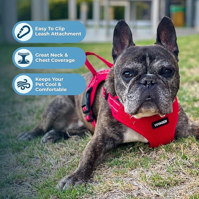 Best Pet Supplies Voyager Adjustable Step-in Flex Breathable Mesh Dog Harness for Small Medium Large Dogs Leash Set (Red), S