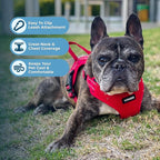 Best Pet Supplies Voyager Adjustable Step-in Flex Breathable Mesh Dog Harness for Small Medium Large Dogs Leash Set (Red), S