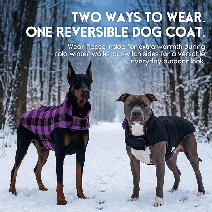 ASENKU Reversible Dog Winter Coat, Dog Jacket for Small Medium Large Dogs | Windproof Plaid Fleece Lining for Cold Weather, Water-resistant Outer Shell, Puppy Puffer Vest with Leash Hole, Purple M