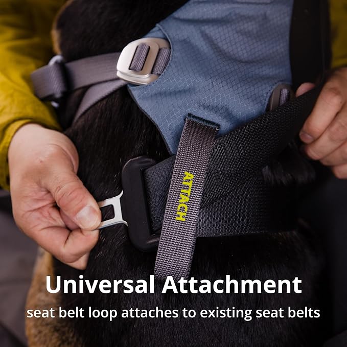 Ruffwear, Load Up Dog Car Harness, Padded Adjustable Travel Restraint with Universal Seat Belt Attachment and Strength-Rated Metal Hardware, for Road Trips in Cars & SUVs, Slate Blue, Large/X-Large
