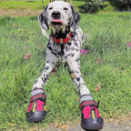 QUMY Dog Shoes for Hot Pavement, Dog Snow Boots & Paw Protectors for Winter | Dog Booties Medium Large Size Dogs, Water-resistant in the Rain, Outdoor Walking, Indoor Hardfloors Skid-resistant Sole Red